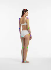 Back view — Seen from behind, head turned