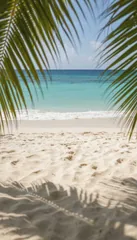 Beach — Palm beach, turquoise water
